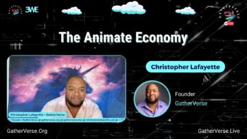 Christopher Lafayette-The Animate Economy