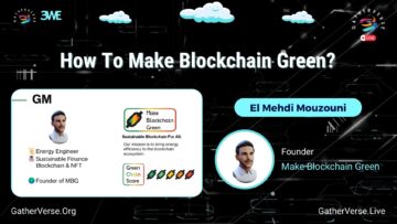 El Mehdi Mouzouni-How To Make Blockchain Green