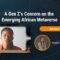 Alizwa Jonas: A Gen Z’s Concern on the Emerging African Metaverse